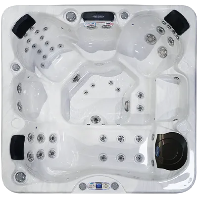 Avalon EC-849L hot tubs for sale in Pinellas Park
