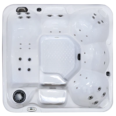 Hawaiian PZ-636L hot tubs for sale in Pinellas Park